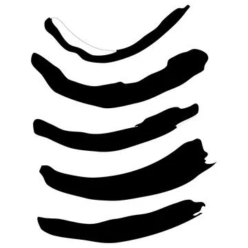 Set of Black Vector Brush Doodle Strokes. Stock Illustration