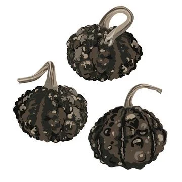 Set of black warty ugly small pimpled pumpkins isolated on white. Halloween.. Stock Illustration