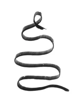 A set of black wavy lines Stock Photos