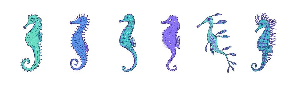 Set blue seahorses different forms. Vector wild ocean animals underwater life Stock Illustration