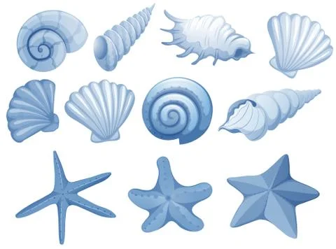 A Set of Blue Seashell Stock Illustration