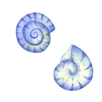 Set of blue seashells isolated on white. Watercolor illustration. Stock Illustration