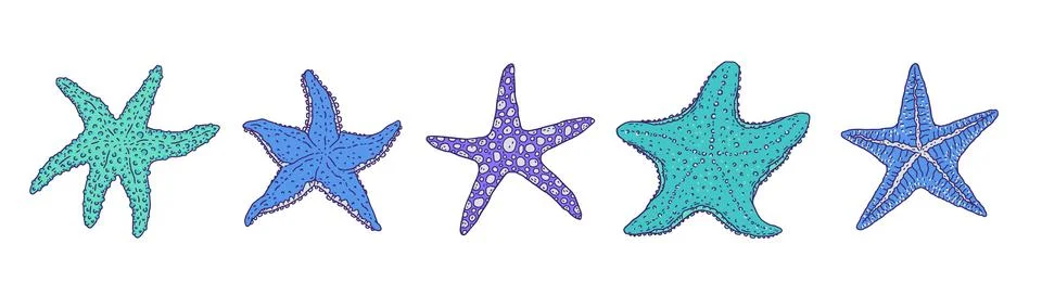 Set blue starfishes different forms. Vector wild ocean animals mollusk Stock Illustration