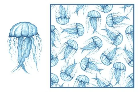 Set - blue translucent jellyfish with long tentacles on a white background an Illustrazione stock