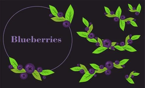 Set of blueberries on a black background with space for your entry Stock Illustration