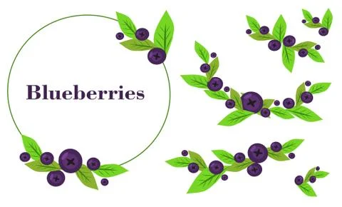 Set of blueberries on a white background with space for your entry Stock Illustration