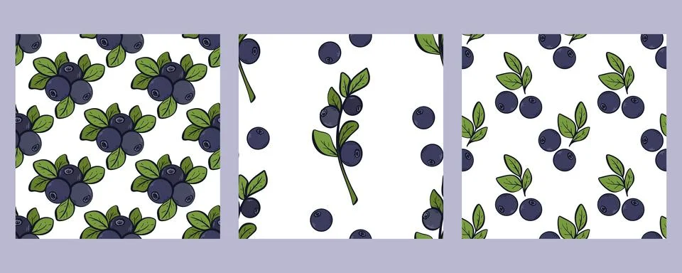 Set blueberry seamless patterns vector graphics Stock Illustration