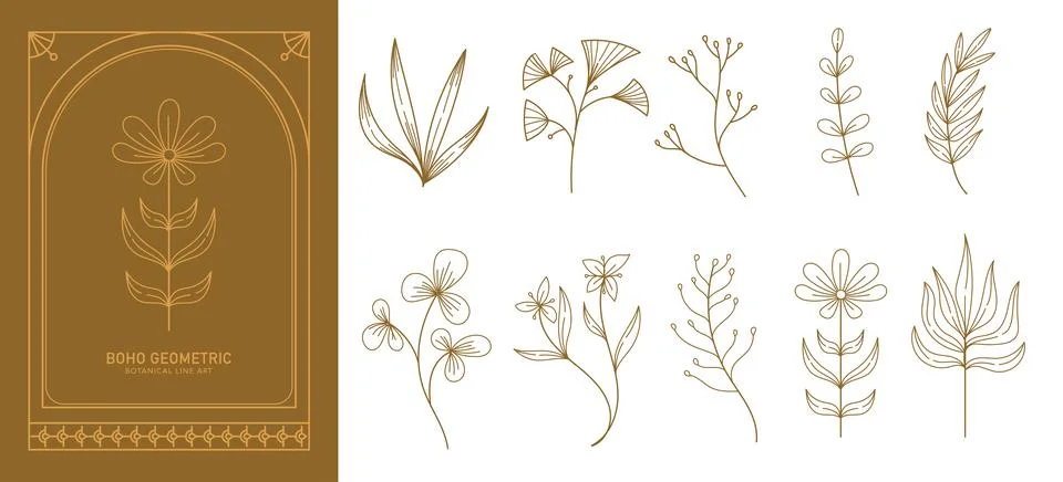 Set of boho simple geometric branch and flowers. Botanic design elements in.. Stock Illustration