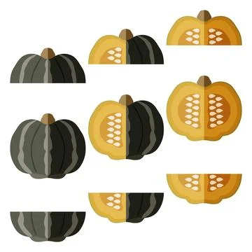 Set of Bonbon Squash. Flat design イラスト素材