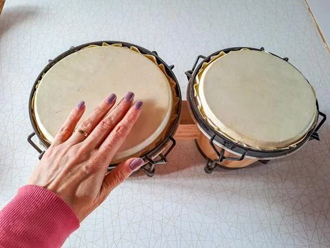 Set of Bongo Drums Isolated on a White Background. Latin percussion. Stock Photos