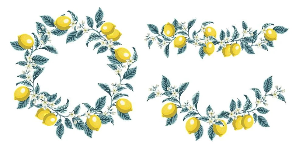 Set botanical border made of branches, leaves, olives and lemons. Decorativ.. Stock Illustration