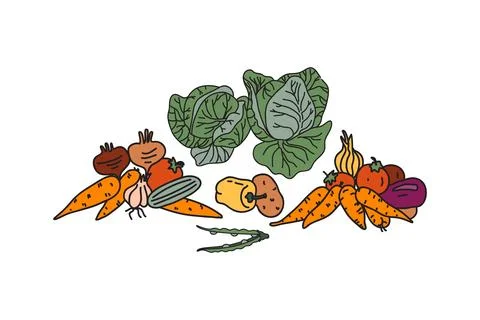 Set botanical decorative different vegetables isolated on white background... 库存插图