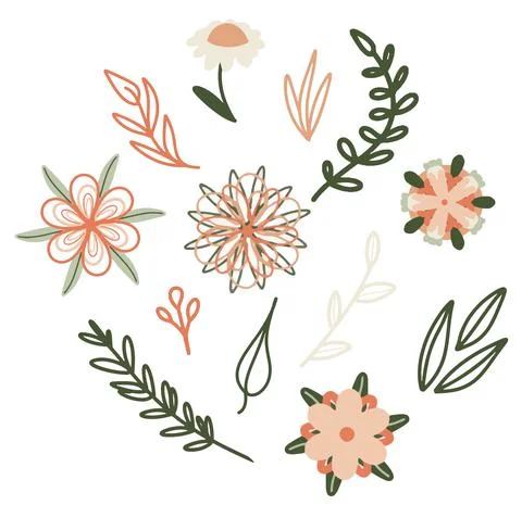 Set of botanical elements, collection of flowers and branches for design イラスト素材