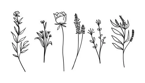 Set botanical hand drawn vector element. Vector illustration. Stock Illustration