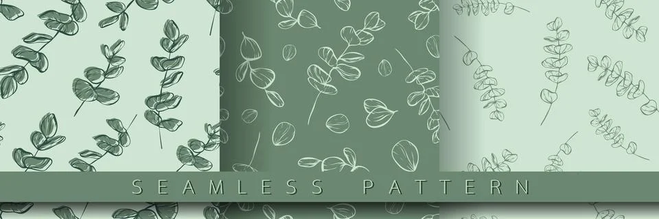 Set of botanical line seamless pattern of eucalyptus leaves branch Stock Illustration