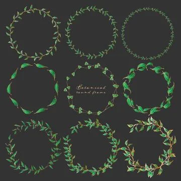 Set of botanical round frame, Hand drawn flowers, Botanical composition, Deco Stock Illustration