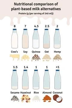 Set of bottles with plant-based milk. Vegan milk protein infographic Stock Illustration