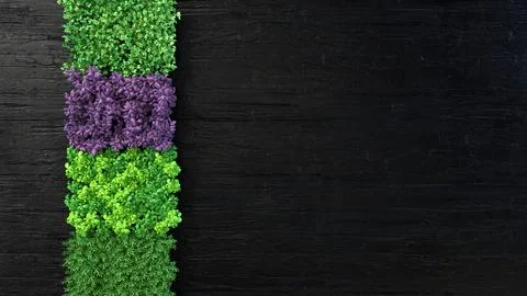 Set of boxes with microgreen sprouts of parsley, dill, basil, onion Stock Illustration