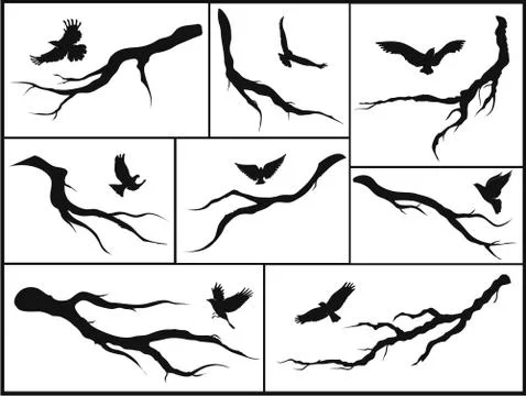 Set of branches and birds Stock Illustration