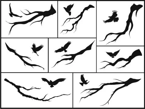 Set of branches and birds Stock Illustration