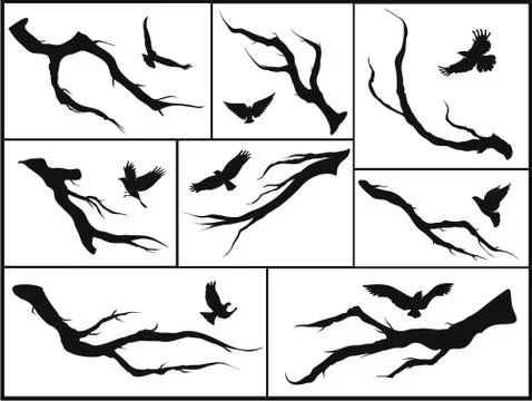 Set of branches and birds Stock Illustration