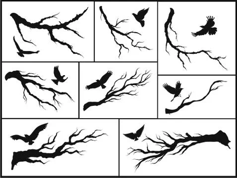 Set of branches and birds Stock Illustration