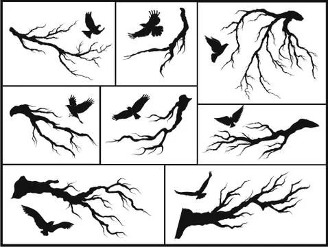 Set of branches and birds Stock Illustration