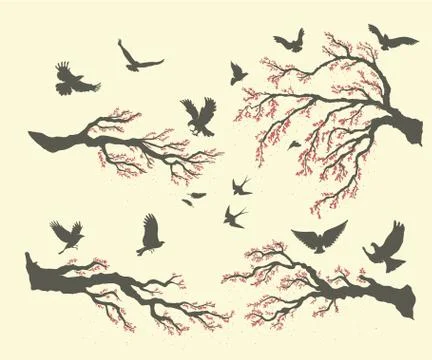 Set of branches and birds Stock Illustration