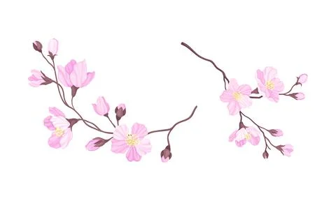 Set of branches of blossoming cherry tree. Sakura twigs with pink flowers vector Stock Illustration