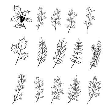Set of branches with leaves. Collection of different leaves in outline style Illustrazione stock