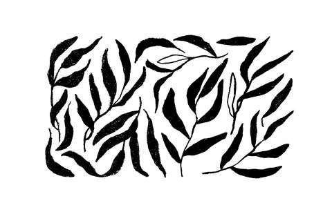 Set of branches with long black leaves. Stock Illustration