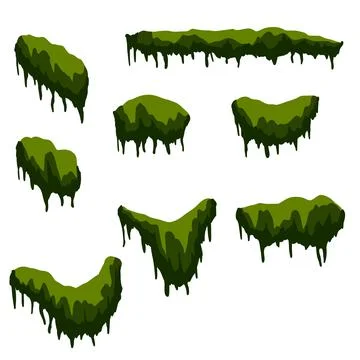 Set of branches with moss and green grass. Swamp bog vine of trees. Ilustração Stock