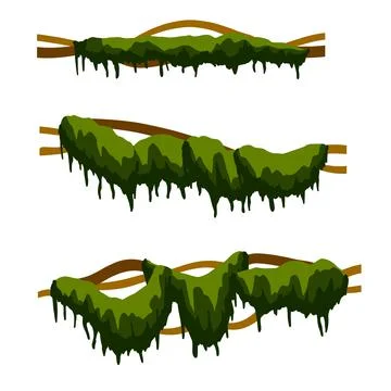 Set of branches with moss and green grass. Swamp bog vine of trees. Ilustração Stock