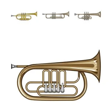 Set of brass wind instruments illustrations on white background 스톡 일러스트