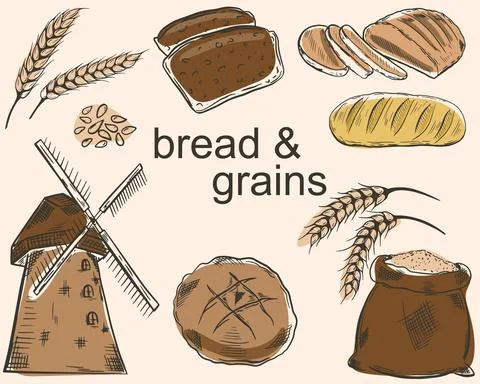 A set of bread and grains. Vector sketches of various breads. Stock Illustration