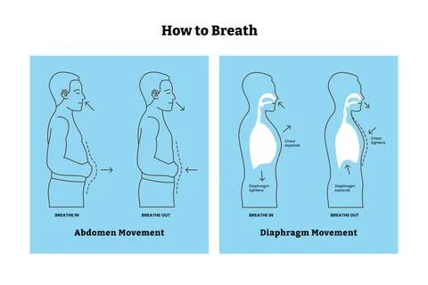 Set of breathing step by step guide poster design, abdomen movement and dia.. Stock Illustration