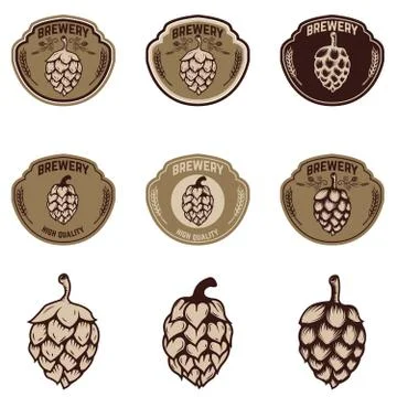 Set of brewery emblems. Beer hope illustrations. Design elements Stock Illustration
