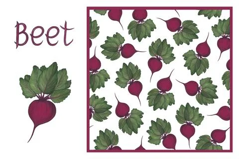 Set - Bright beet root with leaves on a white background and seamless pattern Stock Illustration