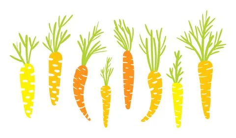 Set of bright carrots Stock Illustration