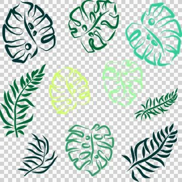 Set of bright colored line drawings of tropical leaves, isolated elements, decor Stock Illustration