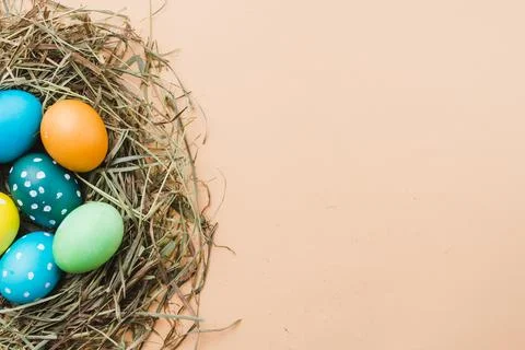 Set bright easter eggs nest Stock Photos