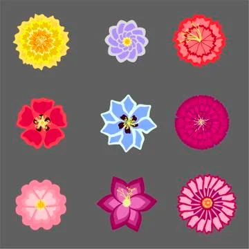 Set with bright flowers in vector Stock Illustration