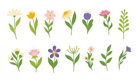 Set of bright spring and summer flowers Stock Illustration