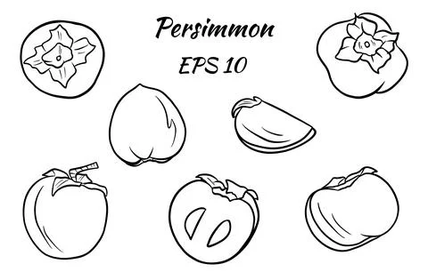 Set of bright vector drawings of persimmon. Stock Illustration