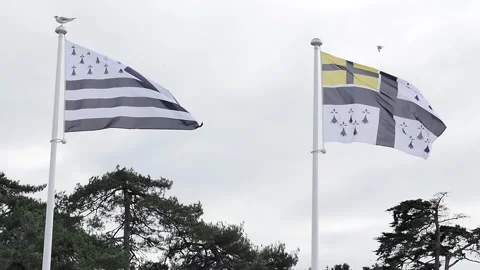 Set of Brittany, (Bretagne) flags : Slow motion shot of Flag of Brittany for Stock Footage 150474455
