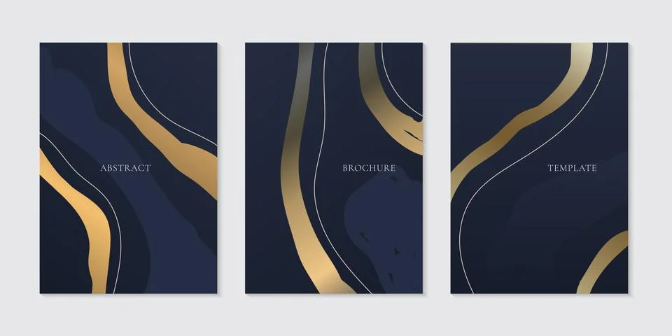 Set of brochure template elegant abstract golden curve line on dark blue back Stock Illustration