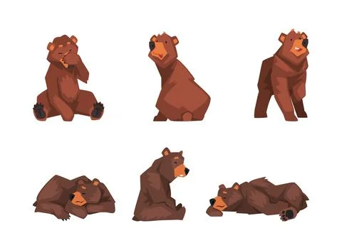 Set of brown bear in different poses. Wild forest sitting, standing and sleeping Stockillustratie
