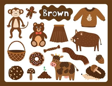 Set of brown color objects. Primary colors flashcard with brown elements Stock Illustration