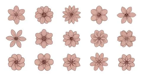 Set of brown flowers on white Stock Illustration