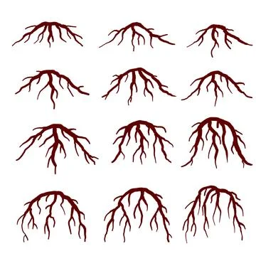Set of Brown Tree Roots. Stock Illustration